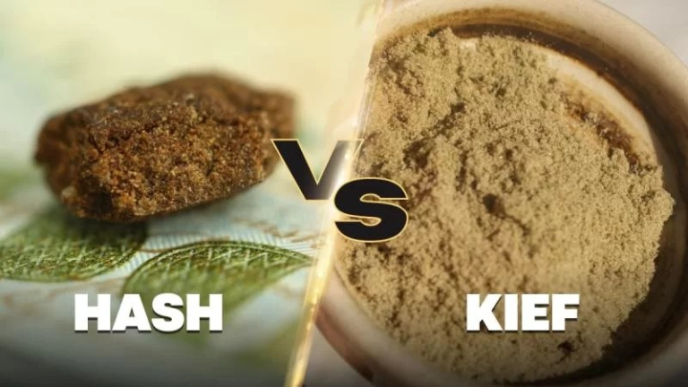Kief Vs Hash: What are the Differences?