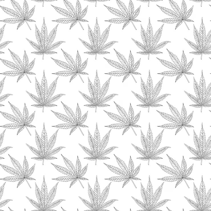 Top 5 Sativa Strains to Boost Creativity and Focus