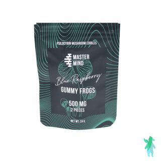Mastermind Blue Raspberry Shroom Gummy – 1000mg